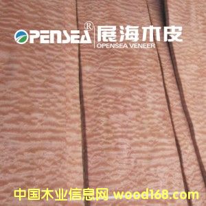 ����ɳ������Ԕ����B