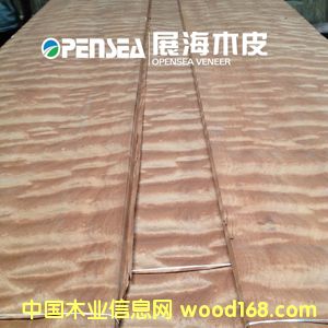 ����������ľƤ��Ԕ����B