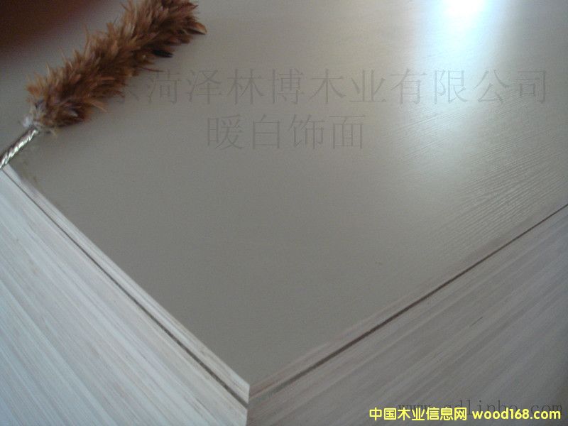 ���B���Ԕ����B