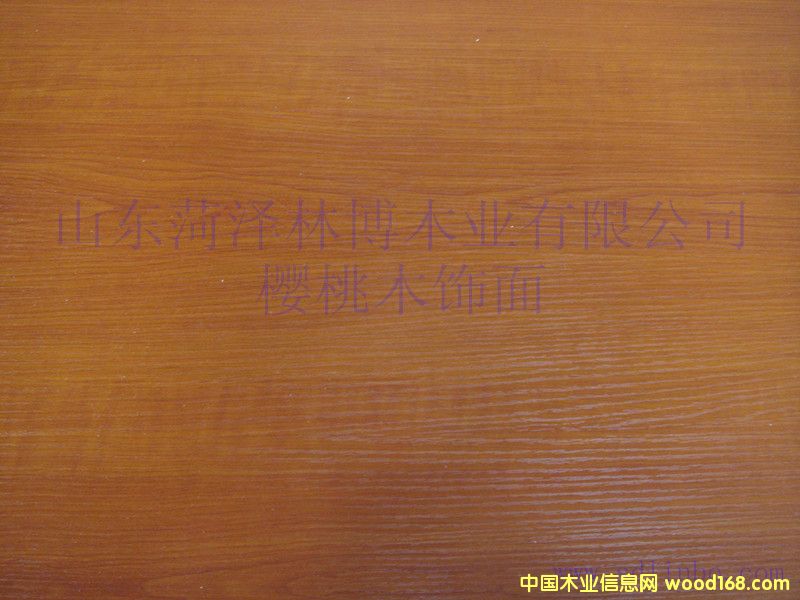 ���B���Ԕ����B