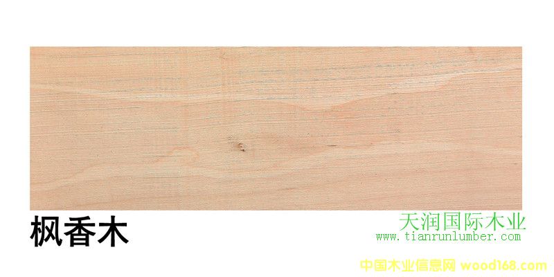 ��������ľSap Gum��Ԕ����B