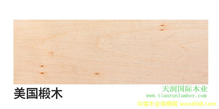 ����(gu��)�ľBasswood