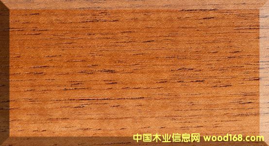 ������ѩ��