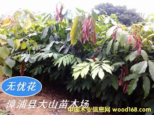 [��] �o�n�����o�n��������䣩