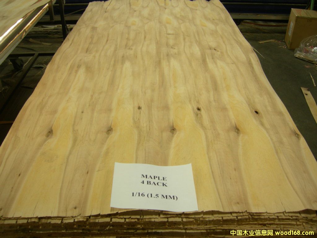 ��ľ�L�а��Ԕ����B