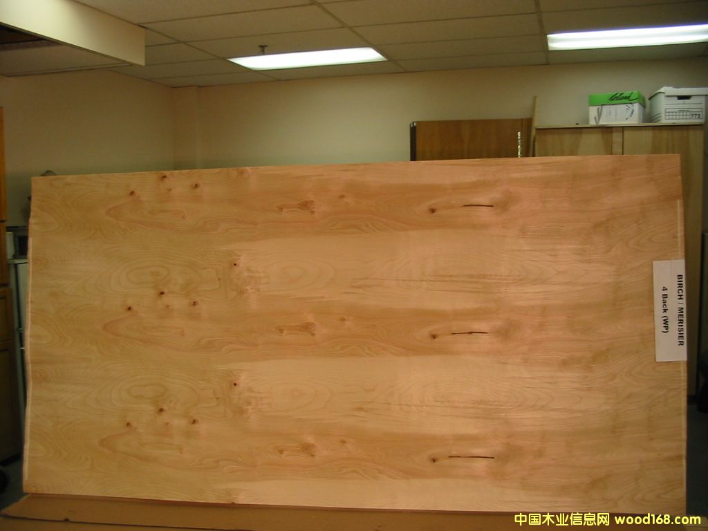 ��ľ�L�а��Ԕ����B