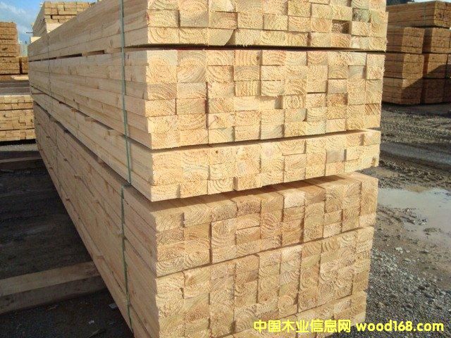 �c���鿴��ľľ��Ŵ�DƬ