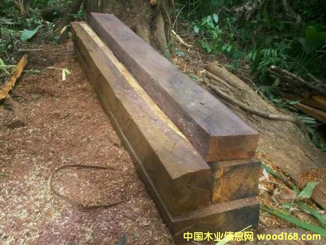 ΢���S̴��Ԕ����B