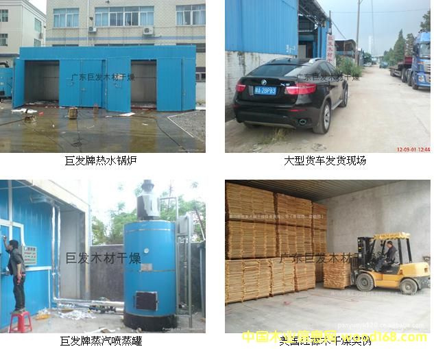 ���}��ľ�ĺ�����Ԕ����B