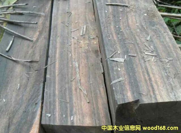 ��̴ľƤ�ĵ�Ԕ����B