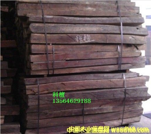 ���޿�̴��Ԕ����B