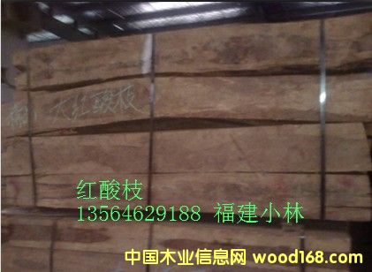 �t��֦��Ԕ����B