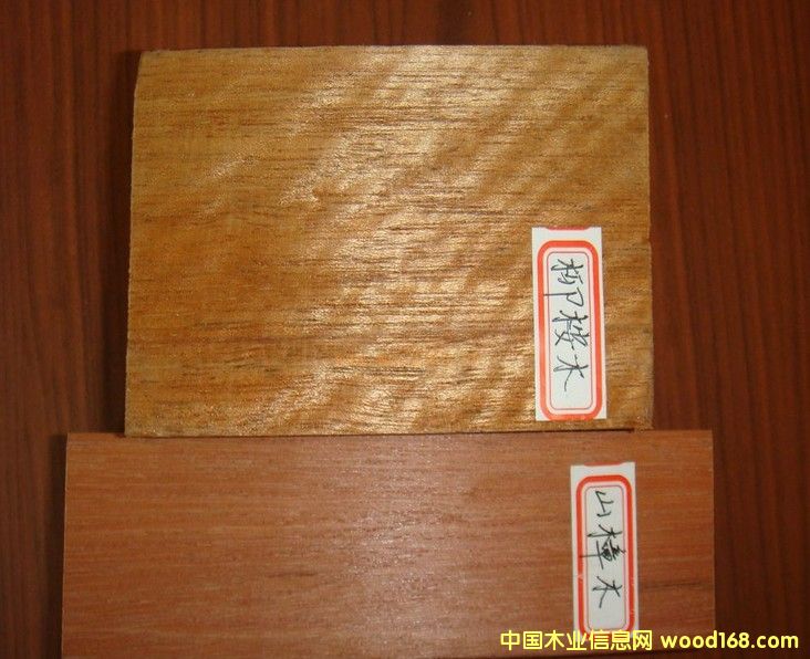 柳安木的詳細介紹