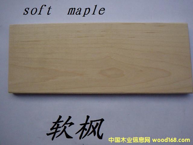 ���ô�ܛ����Ԕ����B