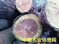 ���ľ��Ԕ����B