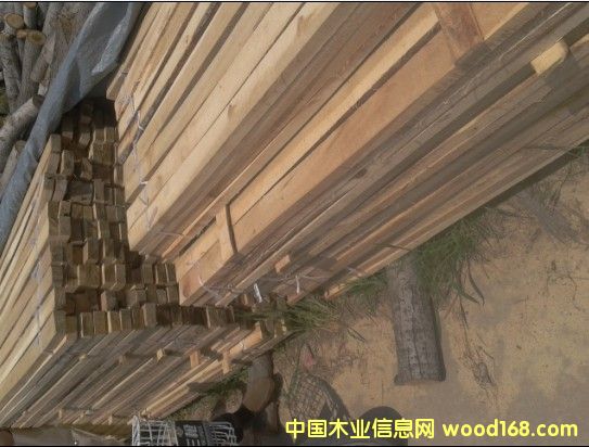 ľ����ľ�l����ľ��