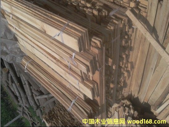 ��ľ�l����ľ��