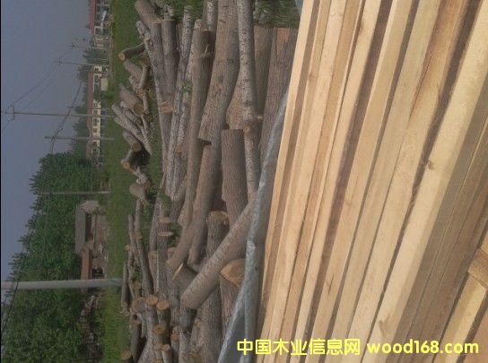 ��ľ��ģ�ľ�l��ľ��