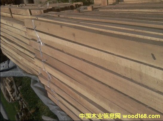 �c���鿴���ľ�l�Ŵ�DƬ