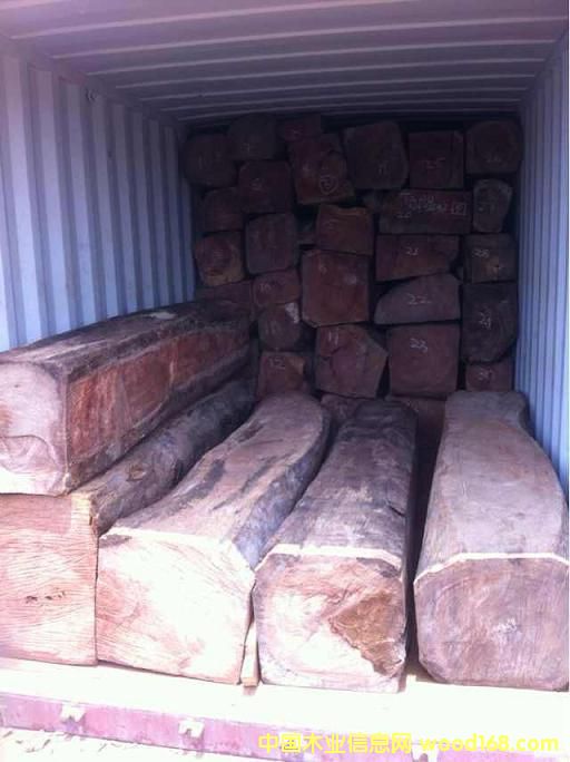 [��] ����ľ����Doussie