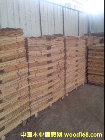 ��ľ�ΰ��Ԕ����B