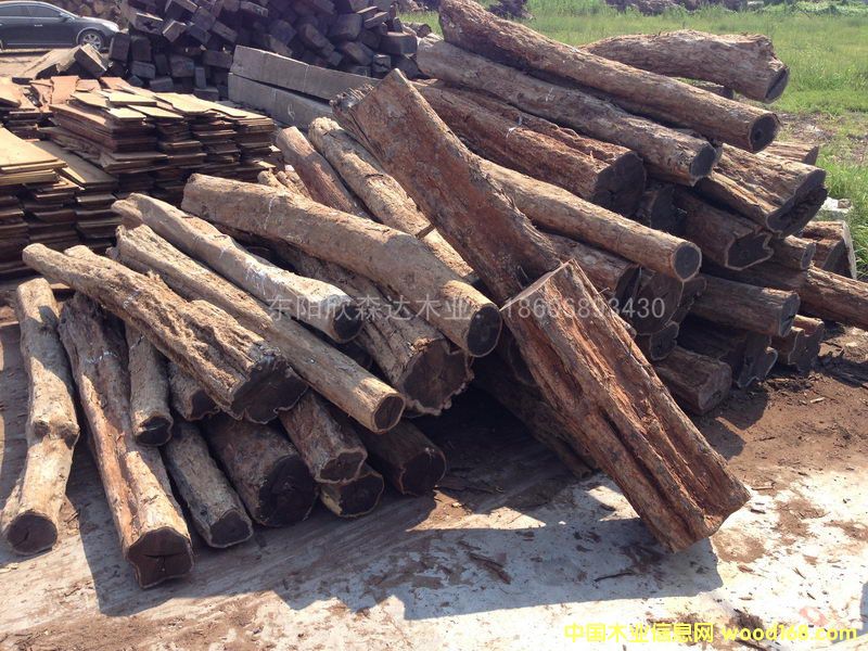 �Ϲ�̴(�|�Ǻ��S̴)1309-1��Ԕ����B