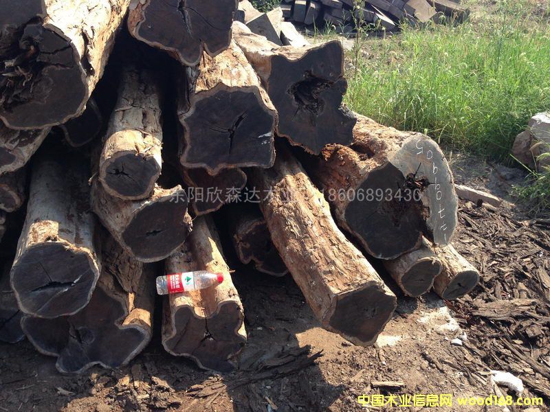 �Ϲ�̴(�|�Ǻ��S̴)1309-3��Ԕ����B