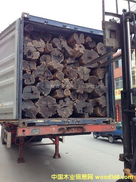 �Ϲ�̴(�|�Ǻ��S̴)1309-7��Ԕ����B