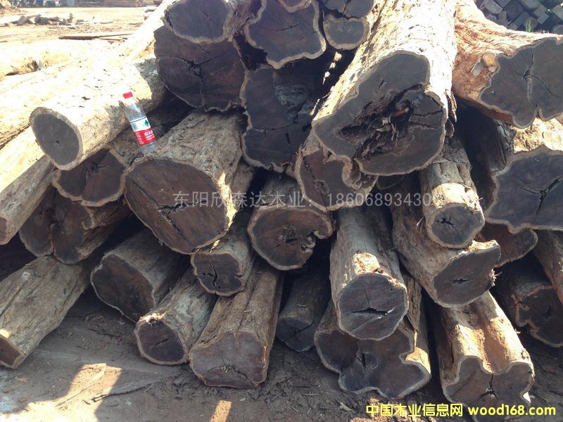 �Ϲ�̴(�|�Ǻ��S̴)1309-2��Ԕ����B