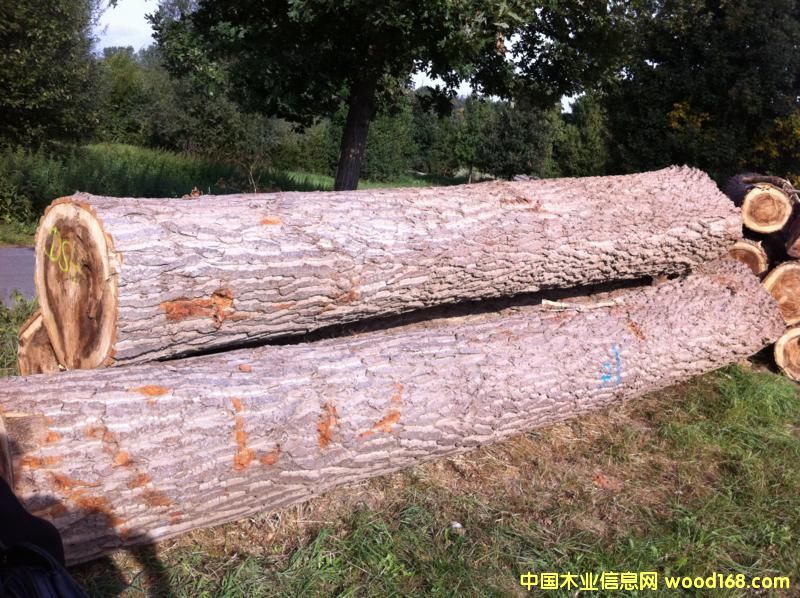 ��ľ��Ԕ����B