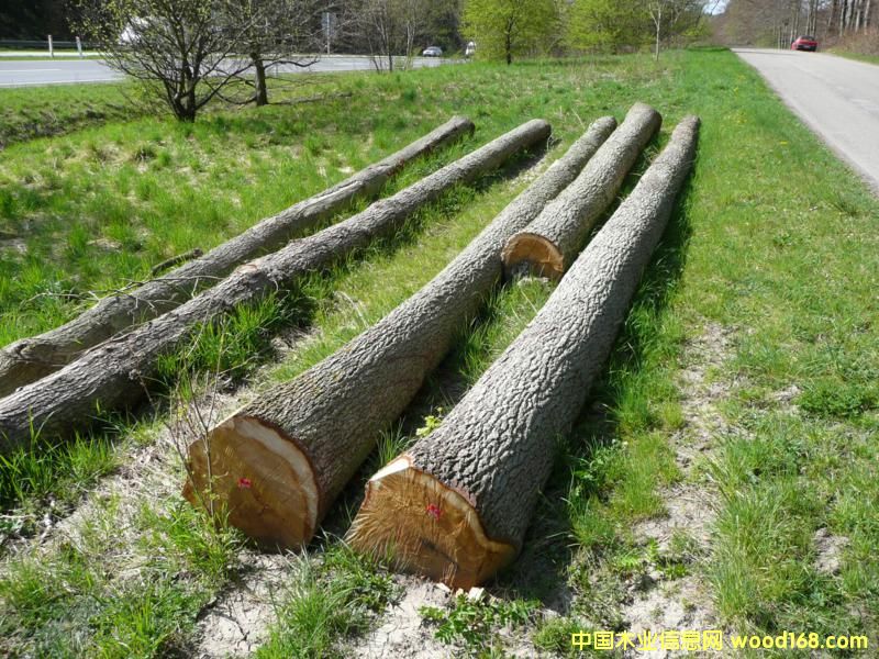 �����Ԕ����B