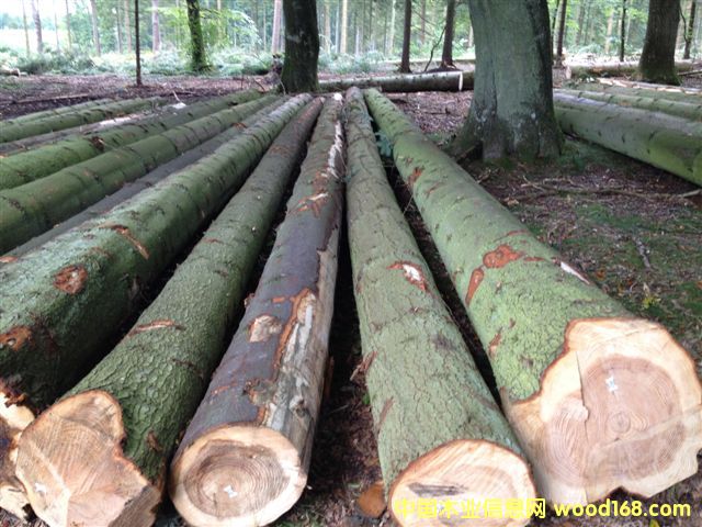 ��ɼ��Ԕ����B