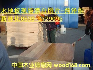 ľ�ذ�Ư��Һ