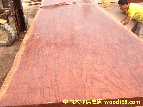 巴花的詳細介紹