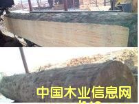 ݗ���ɵ�Ԕ����B