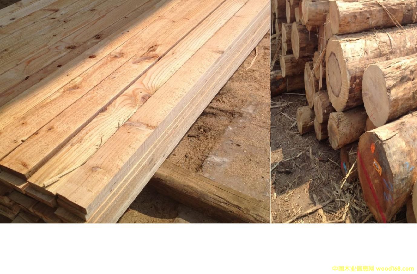 �Fɼ��Ԕ����B