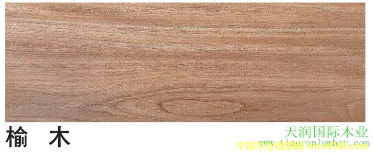 �� ľ Red elm��Ԕ����B