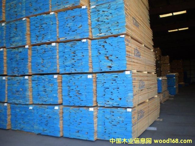 ����ľ�ĵ�Ԕ����B