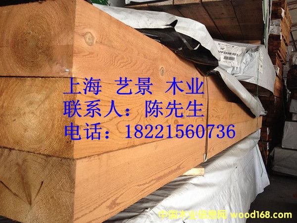 �tѩ�ɵ����c�������Ԕ����B