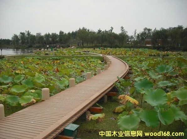 ����ذ�2��Ԕ����B