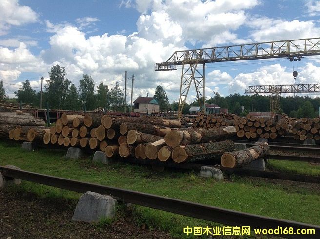 ��������ԭľ