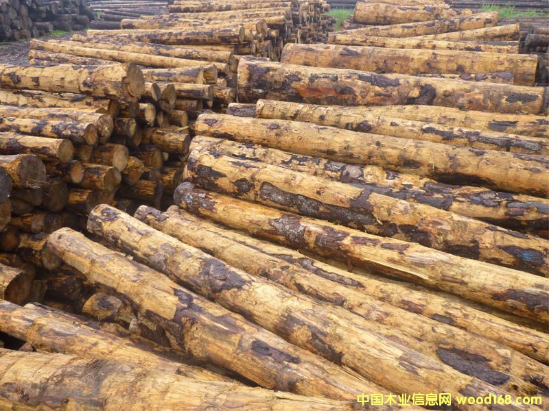 ��ɼ�����ô󣩵�Ԕ����B