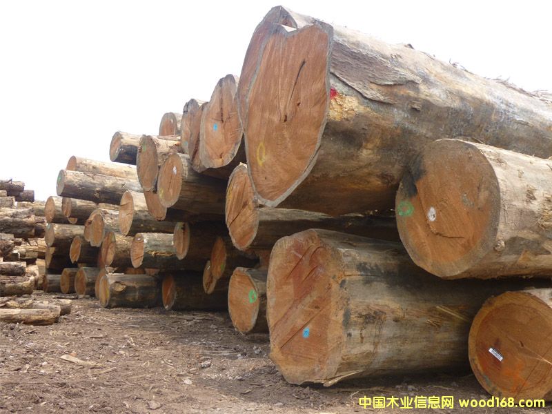 �����ɣ������ģ���Ԕ����B