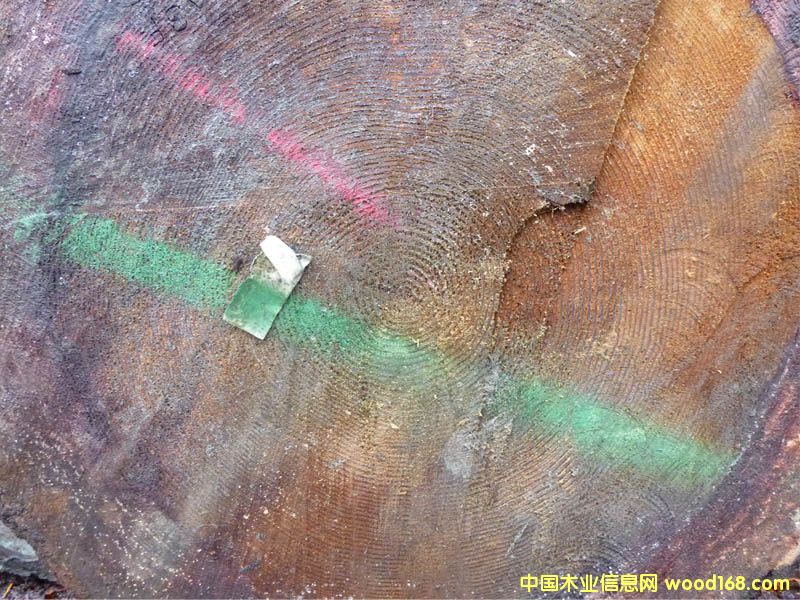 �����ɣ����ô󣩵�Ԕ����B