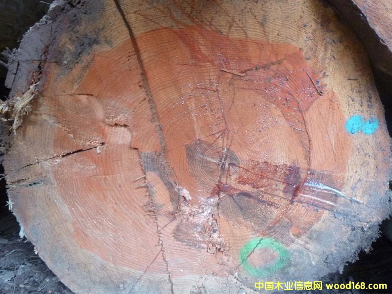 �����ɣ������ģ���Ԕ����B