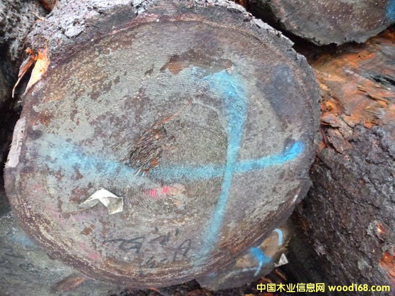 �����ɣ����ô󣩵�Ԕ����B