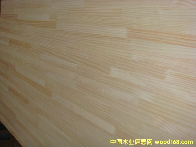 輻射松的詳細(xì)介紹