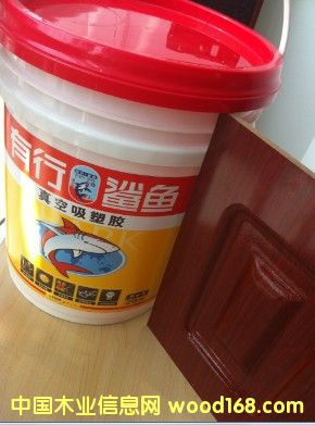 ��������z���S����������z�������ģ���Ч����������z