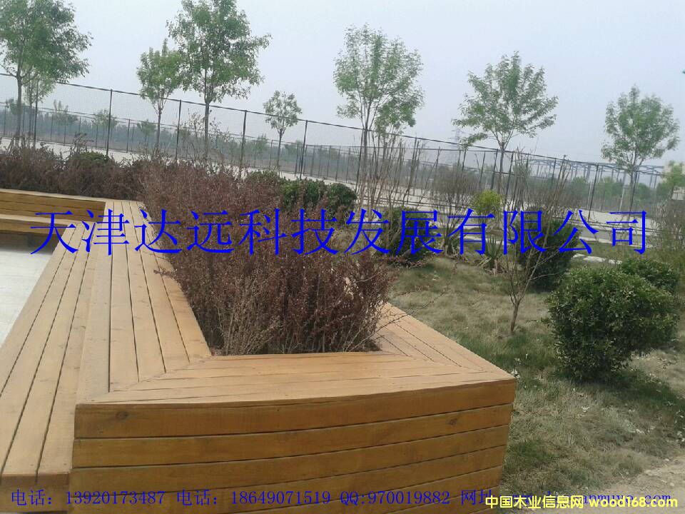 ����ľ����