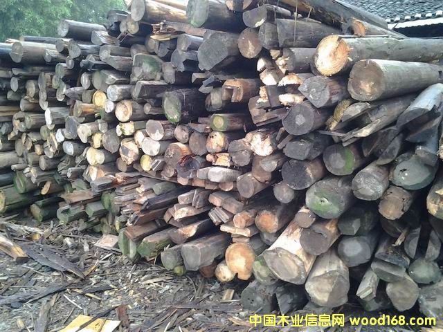 2�������f������������Ԕ����B